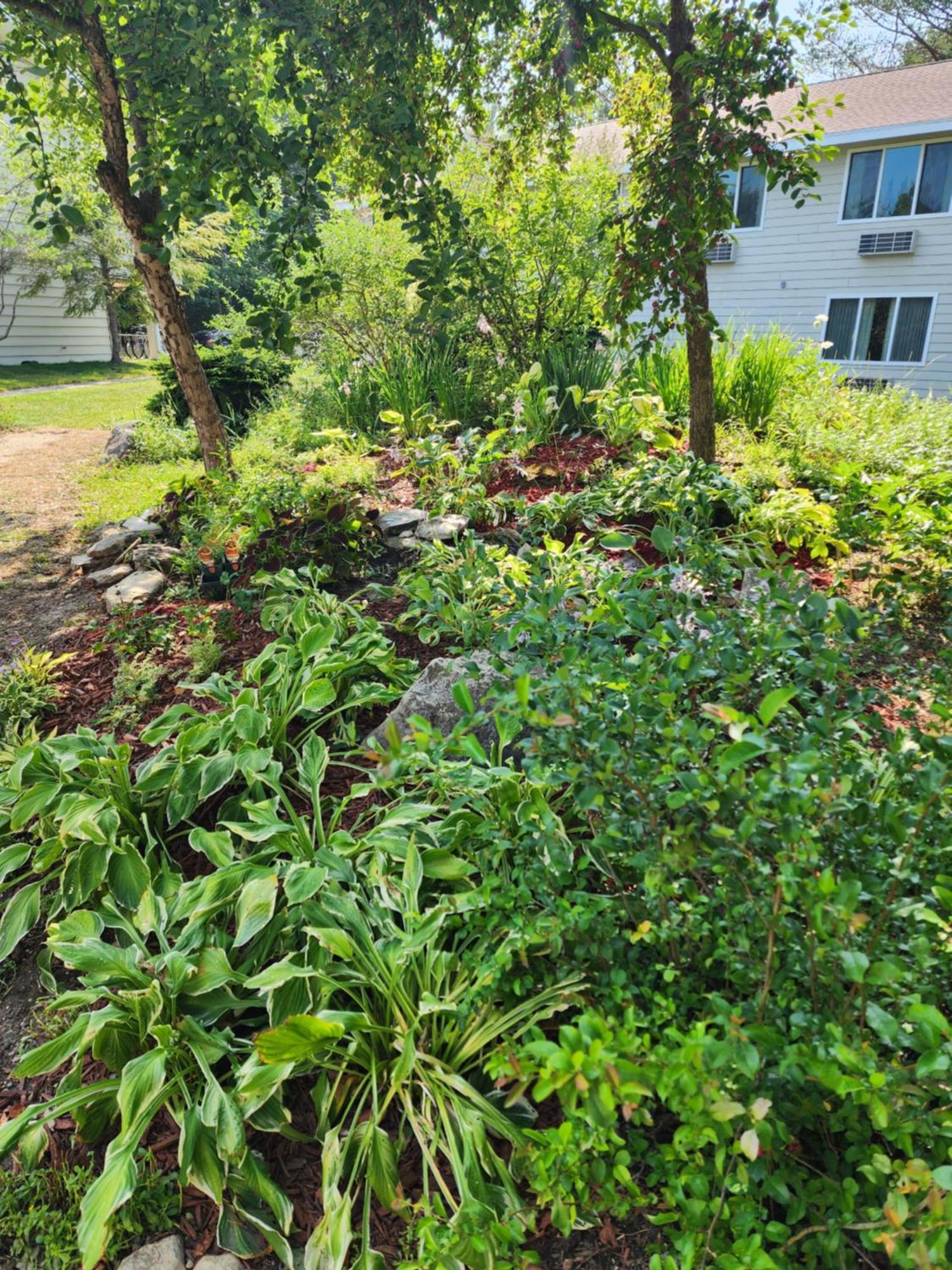 Parkwood Lodge Fish Creek Εξωτερικό φωτογραφία