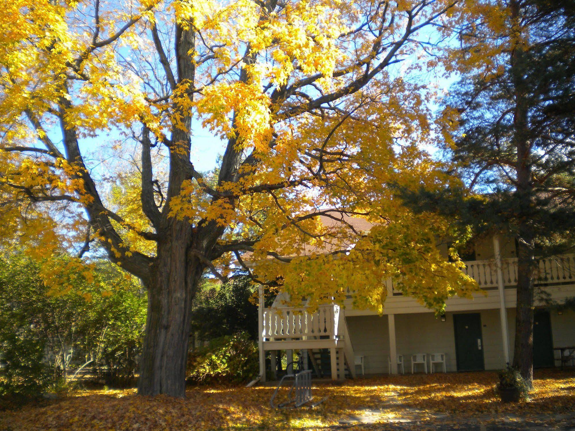 Parkwood Lodge Fish Creek Εξωτερικό φωτογραφία